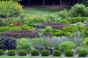 Arnold Arboretum Boston