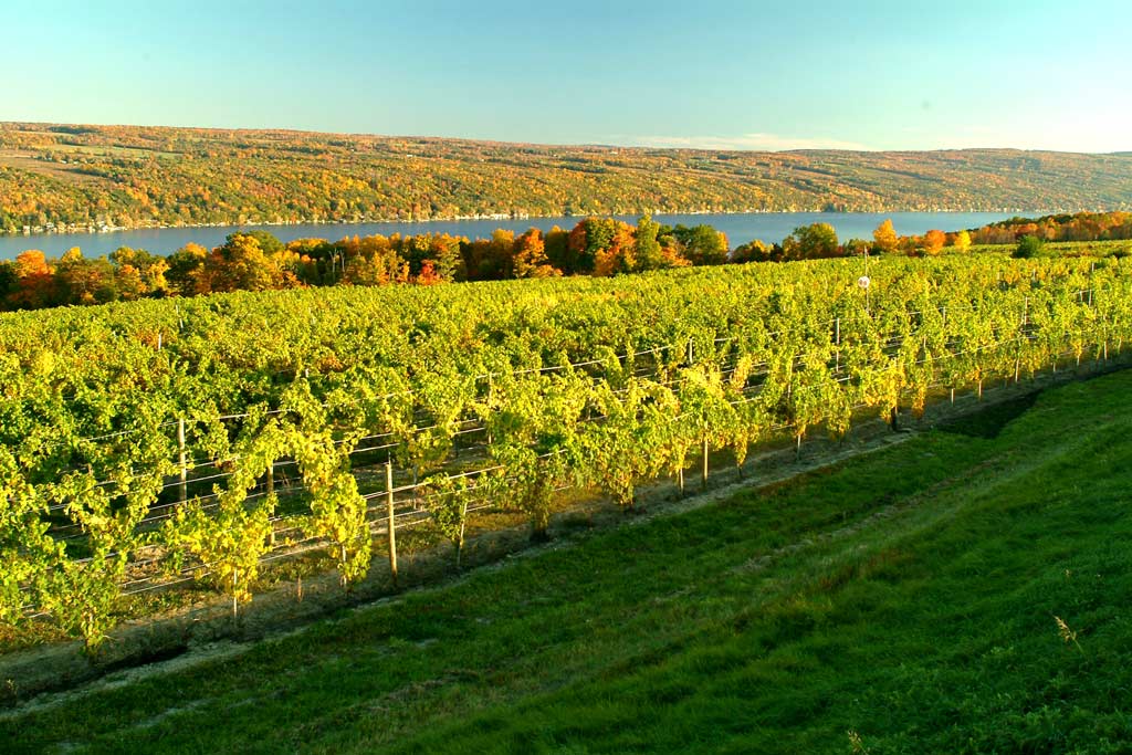 Finger Lakes NY