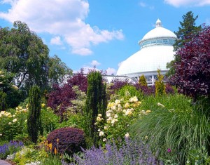 New York Botanical Garden