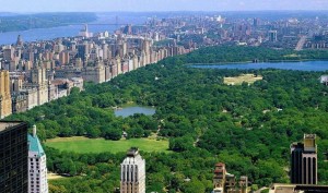 Central Park NYC