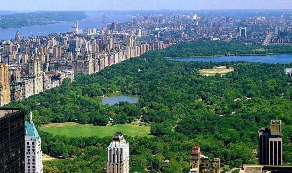 Central Park, NYC