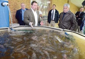 Aqua Vita Farms Oneida county group tours