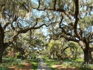 Brookgreen-Gardens-Myrtle-Beach-group-tours