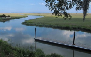 Lowcountry-savannahLowcountry-Savannah