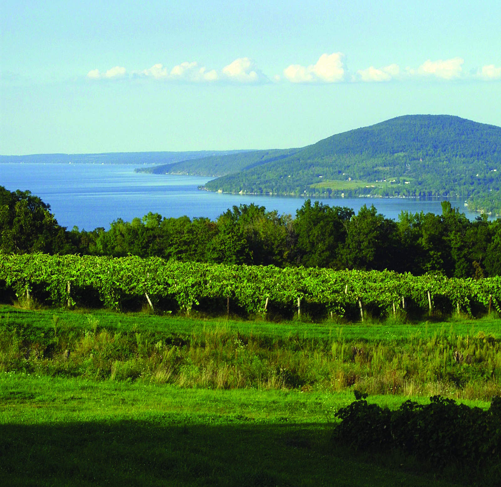 Seneca Lake wine tasting