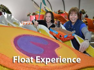 Float-Experience