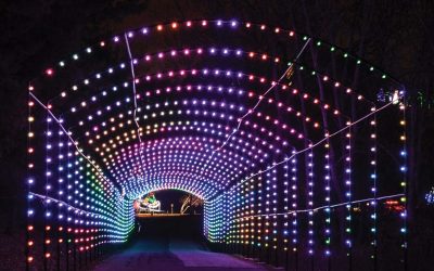 Oglebay Festival of Lights – Wheeling, WV