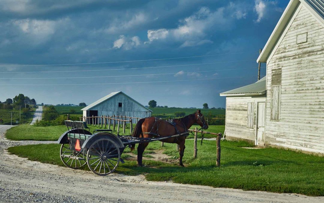 Tootie Fruitie! – Columbiana County, Ohio