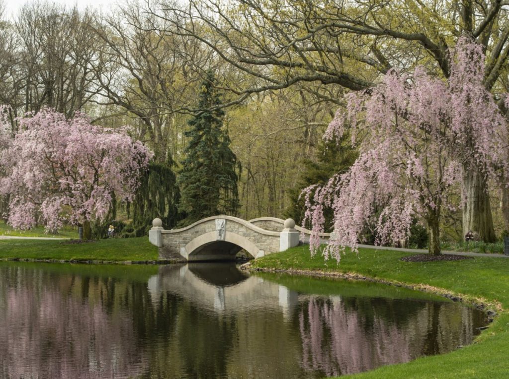 Mt Cuba Center | Twin Travel Concepts Brandywine Valley Garden Tour